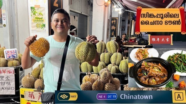 'China Town in Singapore | ചൈനാ ടൗൺ  Chinese Food, Pub, Market, Temple & Mosque'