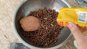 'HOW TO MAKE YOUR DOG EAT DRY KIBBLE - CARA BUAT ANJING KITA MAU MAKAN DOGFOOD KERING - CANE CORSO'