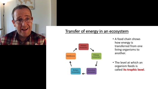 'A Level biology: Energy and Ecosystems: Food chains and energy transfer'