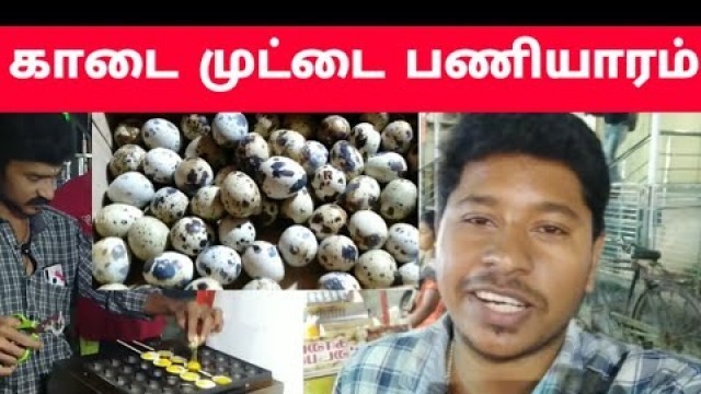 'காடை முட்டை பணியாரம் | Quail Egg Paniyaram | Madurai Street Food | Madurai Vlog | VjVijay Vlog'