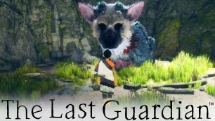 'The Last Guardian - Food Delivery Service (10)'