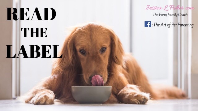 'How To Read A Dog Food Label | Kirkland Brand Dog Food | Jessica L. Fisher, The Furry Family Coach'