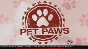 'Pet Paws talks pet food, feeding, and Lannister'