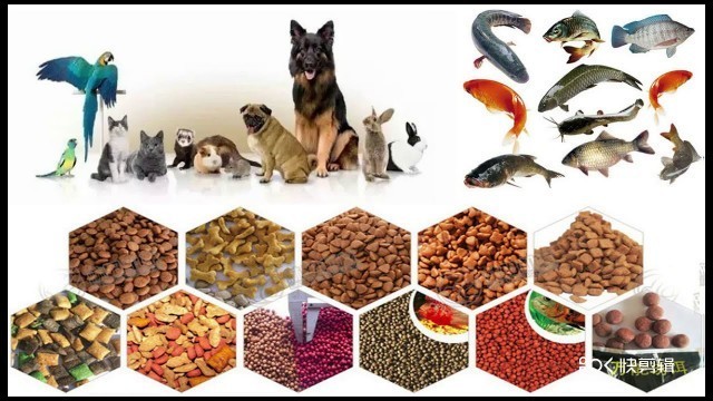 'Big Capacity Automatic Dry Pet Dog Cat Food Fish Feed Pellet Machine Equipment Line Plant Maker'