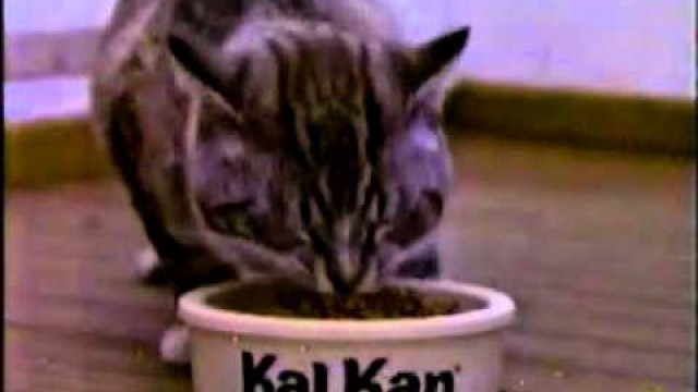 '1985 Kal Kan Cat Food Commercial'