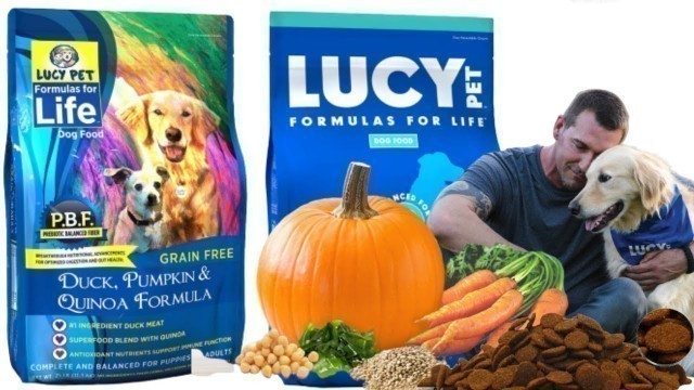 'Lucy Pet Formulas for Life Gut Health Dry Dog Food Salmon, Pumpkin, and Quinoa'