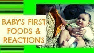 'First time spoon feeding baby itself, FEEDING OUR BABY FOOD,baby led weaning,#babyvlog,#babylovepapa'