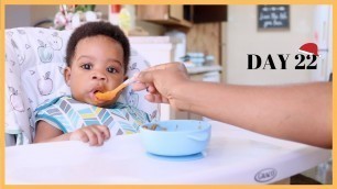 '6 MONTH OLD BABY TRIES SOLIDS FOR THE FIRST TIME! - CEREAL, AVOCADO & SWEET POTATO - VLOGMAS DAY 22'