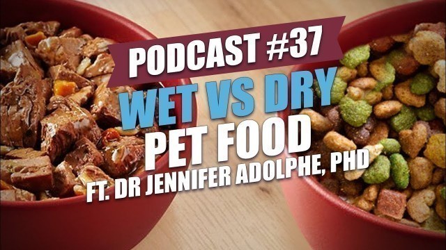 'TOP #37: Wet vs Dry Pet Food ft. Dr Jennifer Adolphe, PhD'