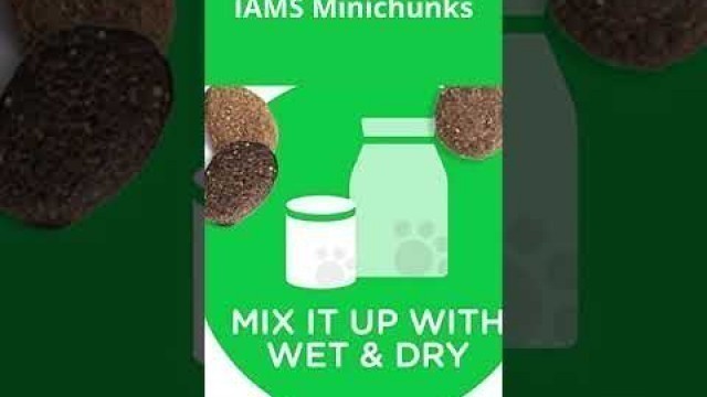 'IAMS Minichunks Adult Dry Dog Food #shorts #IAMS #Dog Food'