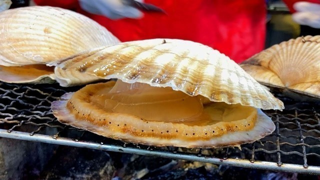 'Japanese Street Food in Tsukiji - Giant Scallops / Live Grilled Seafood'