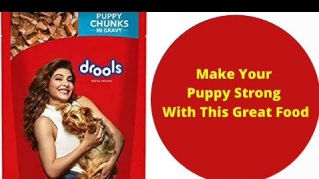 'Puppy dry Dog Food. #shortsvideo#Dog short video.'