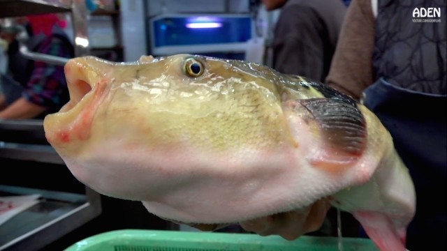 'Fugu Sashimi - Street Food in Japan'