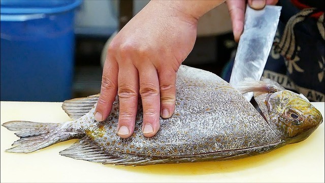 'Japanese Street Food - RABBIT FISH Sashimi Tempura Okinawa Seafood Japan'