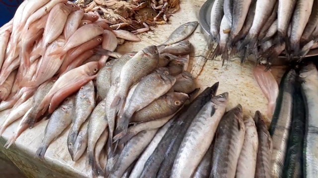 'MADURAI Food Tour - Therku vasal amazing  fish market by Madurai Street Food'