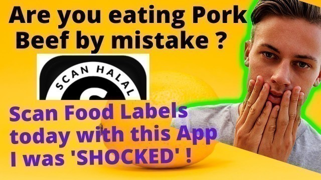 'SCAN HALAL |Food Label reading App |Find unwanted Beef, Pork, Animal Enzymes, Alcohol in Food'