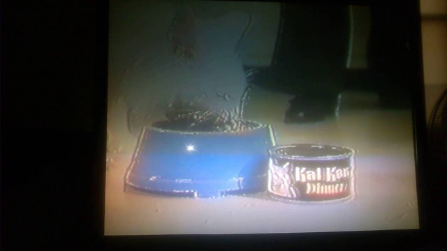 '1980 commercial  kal-can cat food'