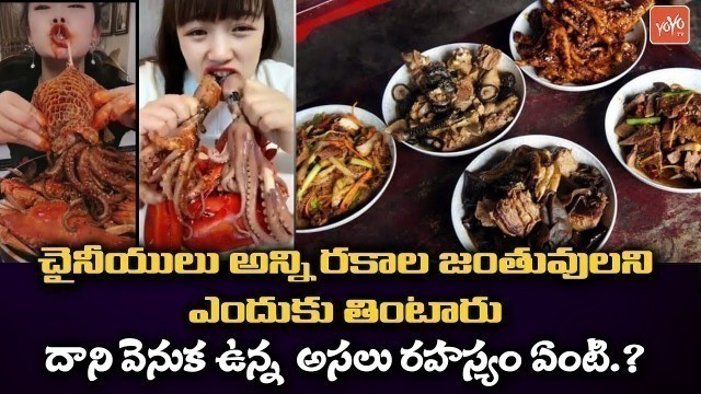 'Shocking Facts About Chinese Food Habits | China Nasty Foods In Telugu | Chinese Street Food |YOYOTV'