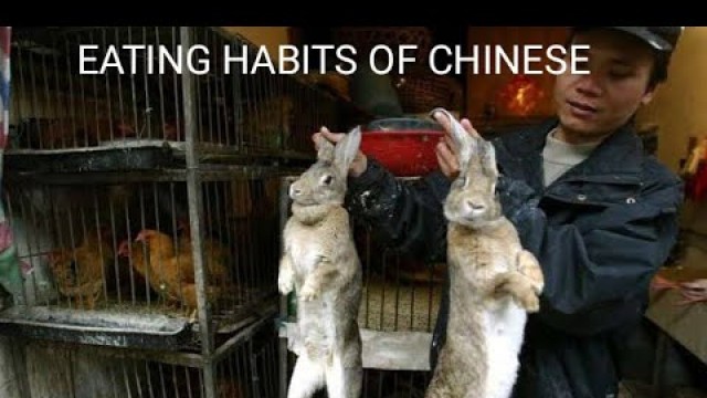 'Why Chinese eating habits different than the whole world?'