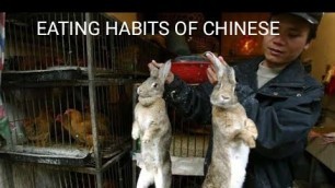 'Why Chinese eating habits different than the whole world?'