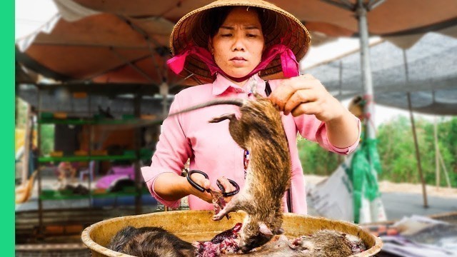 'Asia’s SHOCKING Live Animal Market!!! Extreme Food Tour in the Mekong Delta!'